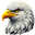 Eagle Contractor Logo